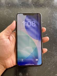 11 Promax 256GB