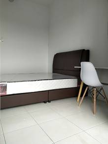 Room-for-rent-Relau-Penang-2
