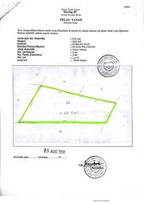 Agricultural-Land-for-sale-Kubang-Pasu-Kedah