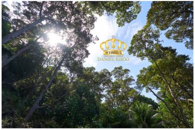 Agricultural Lands Titi Kerawang Balik Pulau For Sale