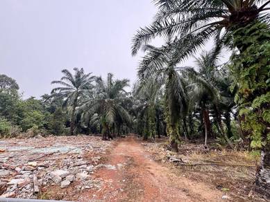 Residential-Zoned Land For Sale @ Parit Mesjid, Pontian