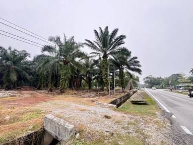 Residential-Land-for-sale-Pontian-Johor