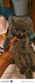 bsh dan blh  mix mak bsh bapa blh 2 bulan. 