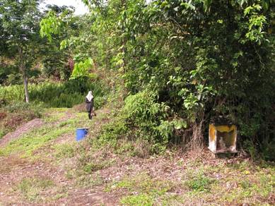 Tanah Pertanian Rasa, Hulu Selangor Untuk Dijual
