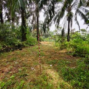 Tanah pertanian siap tolak, di labu besar, Kulim