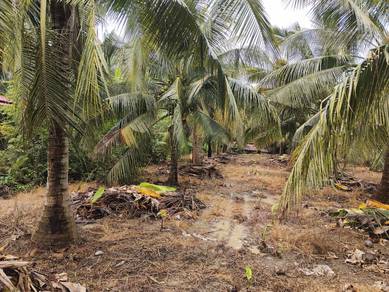 Land-for-sale-Sungai-Ayer-Tawar-Selangor