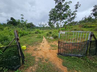 Agricultural Land at Pedas For Sale