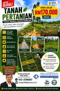 Agricultural Land at Pedas For Sale