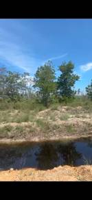 Tanah Kg Benoni, Papar Pan Borneo Highway NT geran kongsi