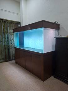 6 × 2.5 × 2.5  Aquarium