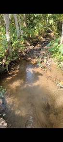 Agricultural-Land-for-sale-Padang-Terap-Kedah