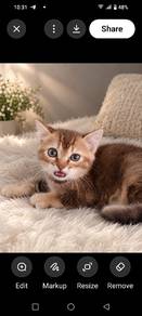 Munchkin Non Standard 