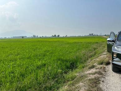 Last Plot ! 4,390kps Tanah 1st Grade | Permatang Ara (SPT) 