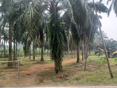 Agricultural Land for Sale!!