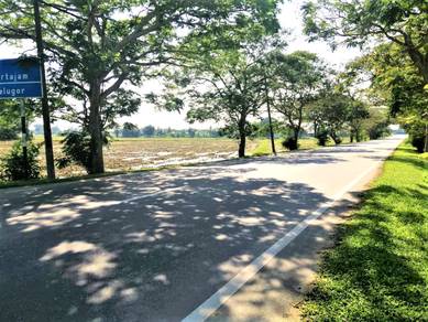 1.5 Acres Mainroad frontage | Padang Menora , SPU Penang