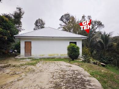 Agricultural-Land-for-sale-Kulim-Kedah