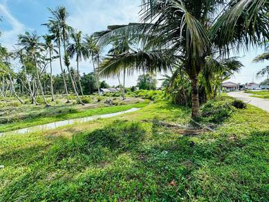 9.68 Acres Freehold Land in Penaga! Opposite Pasar Bisik