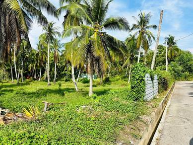 Flat Residential Land in Taman Desa Kuala Muda, Penaga!