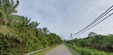 Gemas @ Main Road Access Agricultural Land For Sale (Negeri Sembilan)