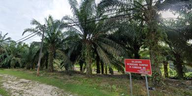 Gemas @ Main Road Access Agricultural Land For Sale (Negeri Sembilan)