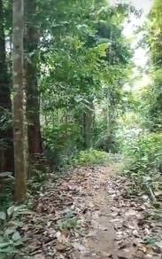 Agricultural-Land-for-sale-Padang-Rengas-Perak