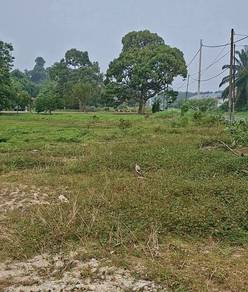 Agricultural-Land-for-sale-Muar-Johor