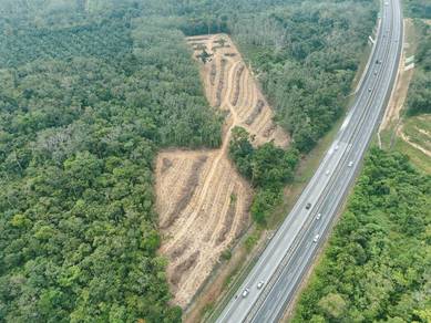 Kuala Kangsar / Agricultural Land For Sale / 4.19 Acres / FREEHOLD