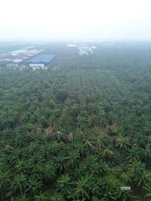 Industrial-Land-for-sale-Telok-Panglima-Garang-Selangor