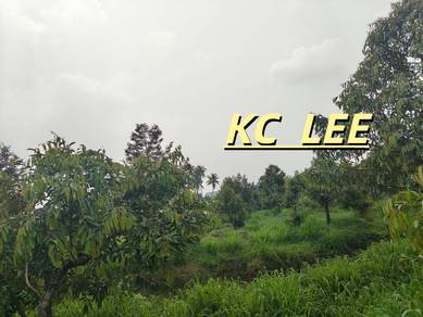 Main Road Durian Land (Zoning Residential) For SALE @ Junjong,Kedah