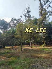 1.48 Acre Durian & Cempedak Garden Flat Land For Sale @ Karangan,Kedah
