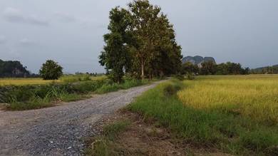 Tanah Bendang Di Ngulang, Perlis
