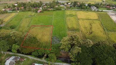 Tanah Bendang Di Ngulang, Perlis