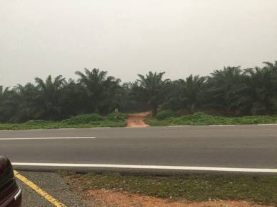 Tanah Pertanian untuk dijual Sedili Besar Kota Tinggi Johor/3 ekar