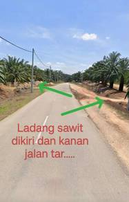 Agricultural-Land-for-sale-Tawar-Kedah