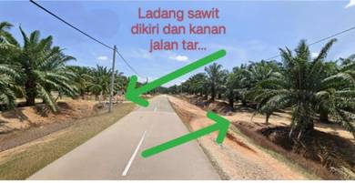 Tawar, Kedah Argriculture Land For Sale (Beside main road)