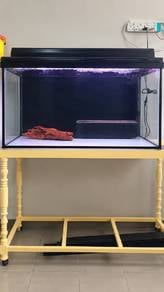 Aquarium 