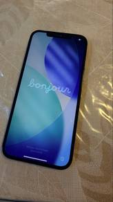 iPhone Pro Max