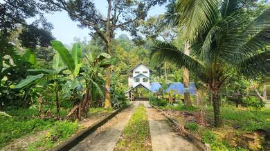 Tanah Dusun Batu 10 Gombak