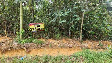 Tanah Pertanian Sg Plong Kuang Sungai Buluh