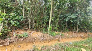 Tanah Pertanian Sg Plong Kuang Sungai Buluh