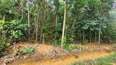 Tanah Pertanian Sg Plong Kuang Sungai Buluh