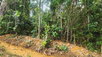 Tanah Pertanian Sg Plong Kuang Sungai Buluh