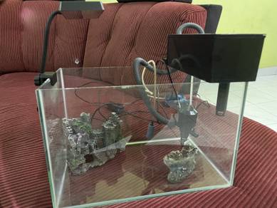 Aquarium Murah !!! Fish Tank