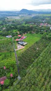 FREEHOLD International Land well maintain Blackthorn Greenhouse Kangar