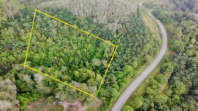 Agricultural-Land-for-sale-Lenggong-Perak