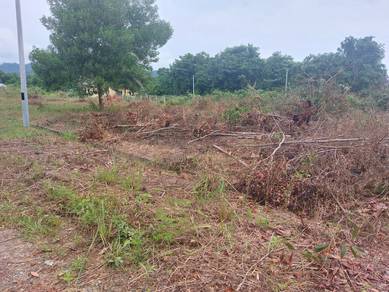 Bungalow Lot Residential Land Jenderam Tanah Kediaman untuk bina rumah