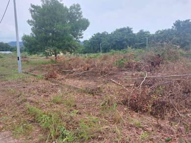 Bungalow Lot Residential Land Jenderam Tanah Kediaman untuk bina rumah