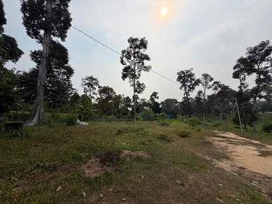 (Renew LH 99) Durian Tunggal 3 Acres Organic Orchard with Resort Home