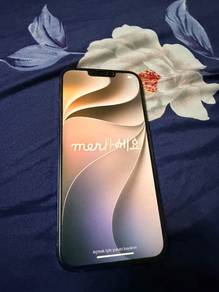 Apple iPhone 13 Pro Max 256 GB