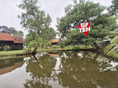 2.26 acre Best places to retire | Organic Farm | Taiping | Kamunting